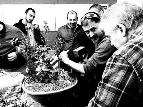 Andrés Bicocca en la asociación Bonsai del Vallès.