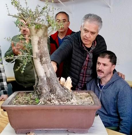 Andrés Bicocca en la asociación Bonsai del Vallès.