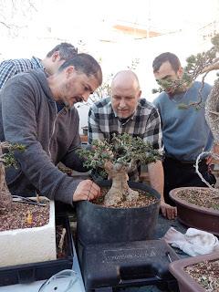 Andrés Bicocca en la asociación Bonsai del Vallès.