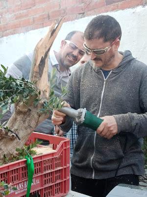 Andrés Bicocca en la asociación Bonsai del Vallès.