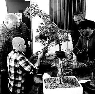 Andrés Bicocca en la asociación Bonsai del Vallès.