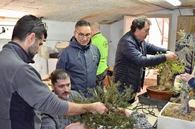 Andrés Bicocca en la asociación Bonsai del Vallès.