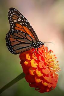 4.174 - SE PARÓ EL TIEMPO...