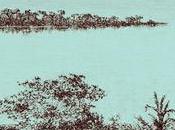 batallas navales Orinoco liberación Guayana