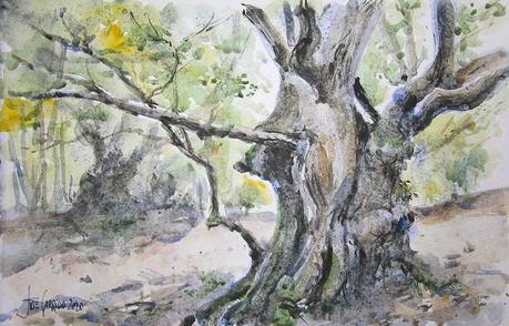 Dibujos y acuarelas en el claustro.