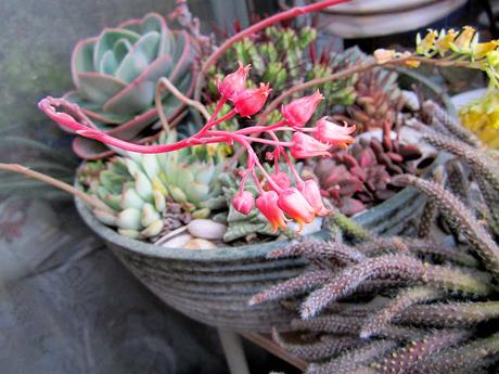 Dibujos y acuarelas en el claustro.