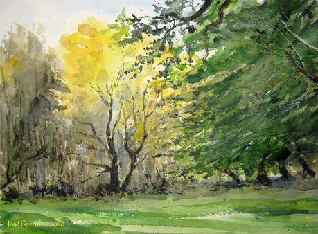 Dibujos y acuarelas en el claustro.