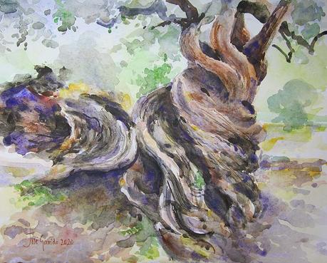 Dibujos y acuarelas en el claustro.