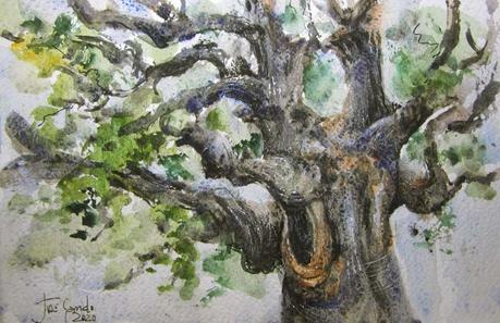 Dibujos y acuarelas en el claustro.