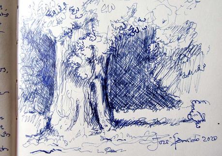 Dibujos y acuarelas en el claustro.