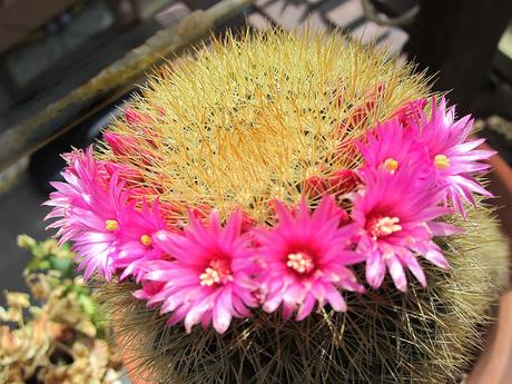 Dibujos y acuarelas en el claustro.