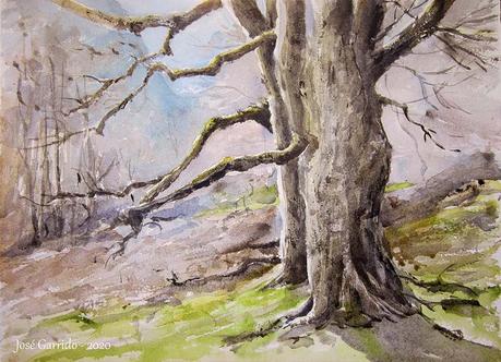 Dibujos y acuarelas en el claustro.