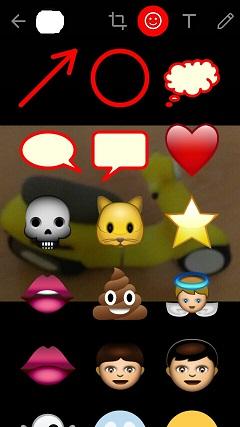 Funciones y trucos para usar WhatsApp al máximo