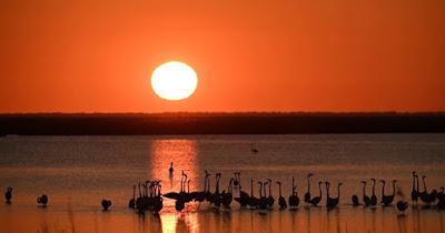 Una monarquía opaca y fuera de control.