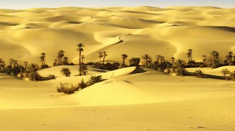 La mejor solución : FUSIÓN O  INVASIÓN CONSENTIDA A TRAVÉS DE LAS URNAS