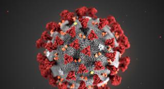 El coronavirus en España: un diagnóstico político