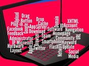 Cuáles plugins para WordPress recomiendo