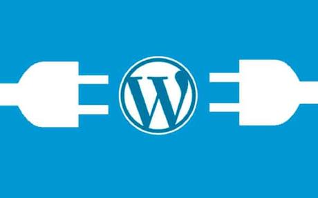 Es importante eliminar todos los plugins y temas de WordPress