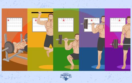 Dentro del mundo de la musculación, existen innumerables ...