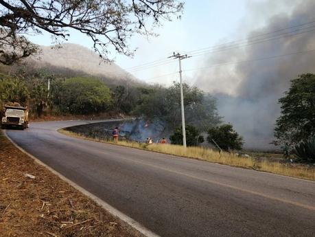 Se registra otro incendio forestal en el Naranjo