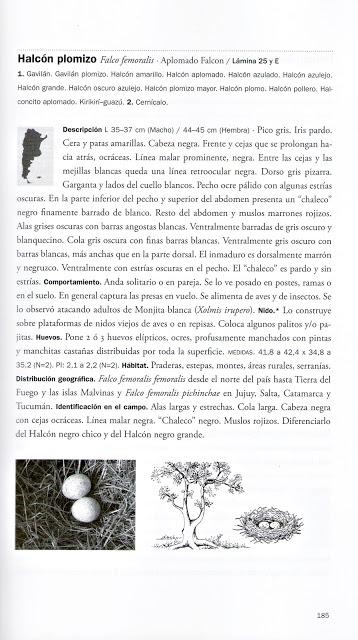 Guía Aves argentinas