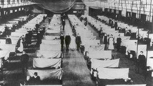 Epidemias durante el siglo XX en la Sierra Norte