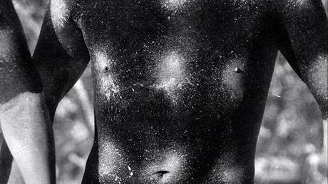 El botón de nácar - 2015