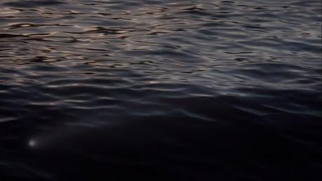 El botón de nácar - 2015