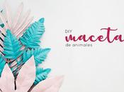 DIY: Macetas animales