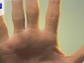 Sexto Trabajo Ciudadanía