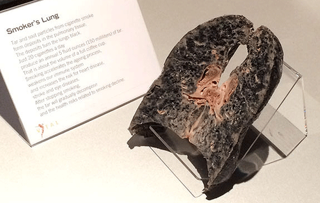 fumar te hace perder voz rapido