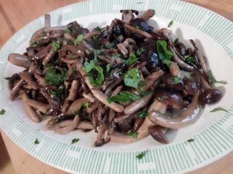 Armillaria mellea recetas o hongos de miel al ajillo - Funghi chiodini trifolati - Honey fungus recipes