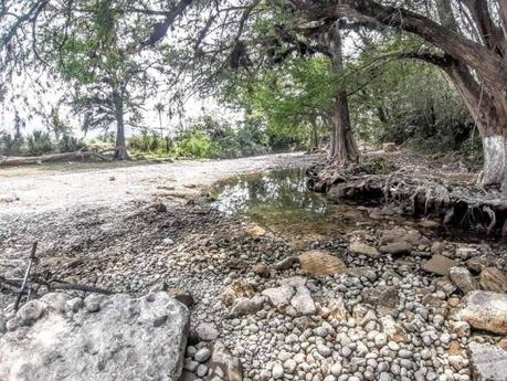 Se está secando completamente el Río Gallinas