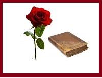 Una rosa y un libro para regalar