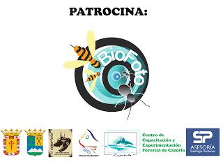 Nuevo libro de Espeleología: Santiago-Pontones (Jaén)