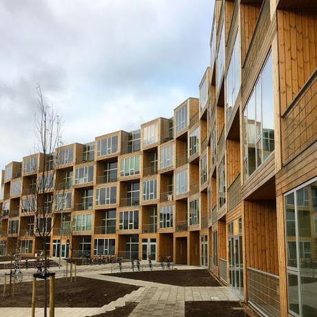 Los edificios, las armas secretas en el combate de enfermedades infecciosas unnamed