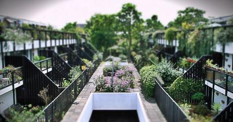 Los edificios, las armas secretas en el combate de enfermedades infecciosas terrace-dunboyne-620x325