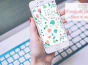 Fondo pantalla para movil mayo