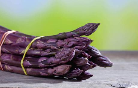 Esparrago morado