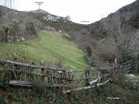 Soto de Agues-Collargayos-Picu Riegos