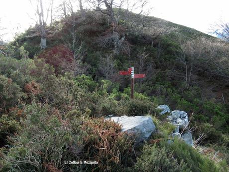 Soto de Agues-Collargayos-Picu Riegos