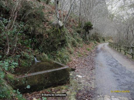 Soto de Agues-Collargayos-Picu Riegos