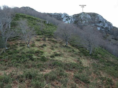 Soto de Agues-Collargayos-Picu Riegos