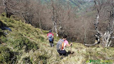 Bajando por el bosque hacia los Cansinos