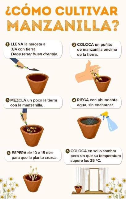 Recordando Los Huertos de La Victoria