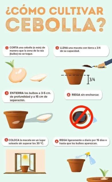 Recordando Los Huertos de La Victoria