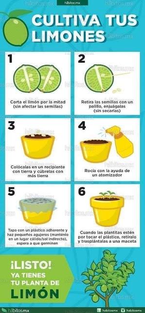 Recordando Los Huertos de La Victoria