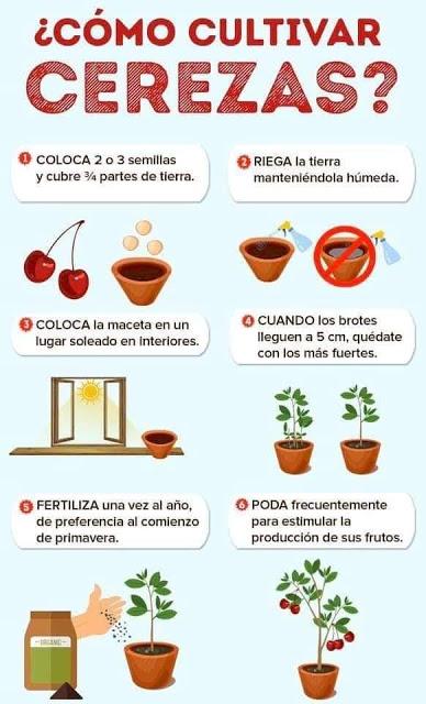 Recordando Los Huertos de La Victoria