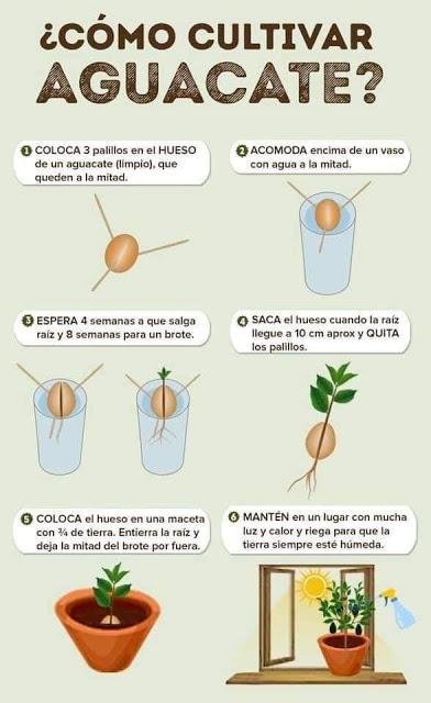 Recordando Los Huertos de La Victoria