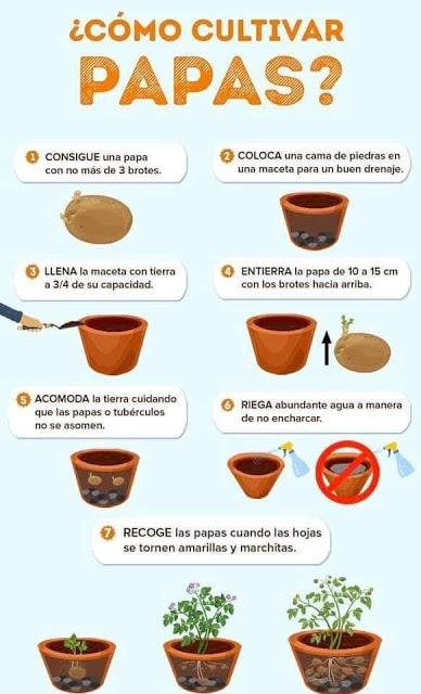 Recordando Los Huertos de La Victoria